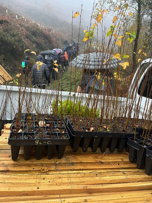 Eguraldia petrala izan arren 2 1765399932106