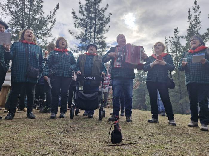 San Sebastian baseliza adin  33 1769291183711