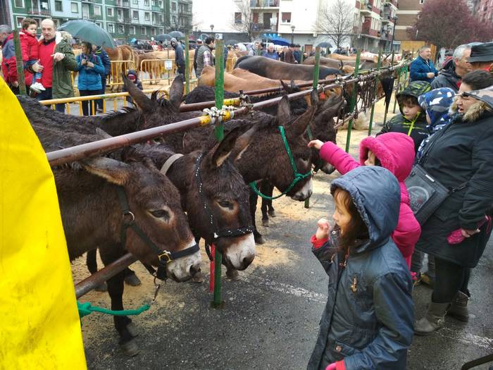 Ehunka lagunek berotu dute D 8 1521813751737