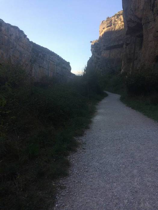 Iratiko basoan egon da asteb 10 1509432790119