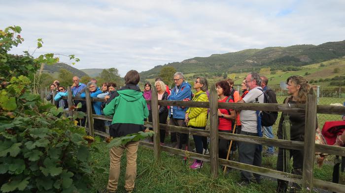 Herriko egitura geologikoa e 52 1508828163661