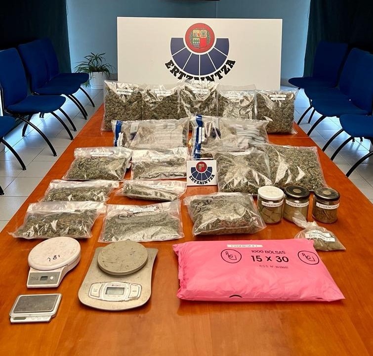 60 marihuana landare atzeman ditu Ertzaintzak Laudion, eta pertsona bat ikerketapean jarri dute