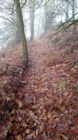 Guda Zibileko lubaki gehiago 3 1513036752074