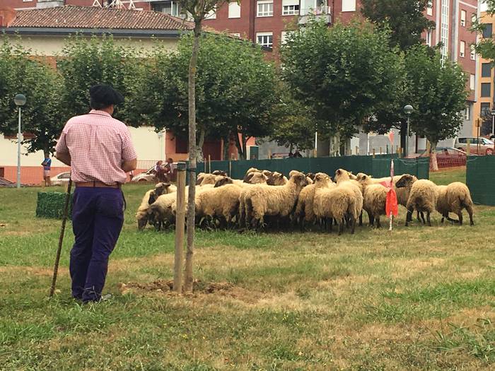 Castellersek, bertsolariek,  41 1503689551328