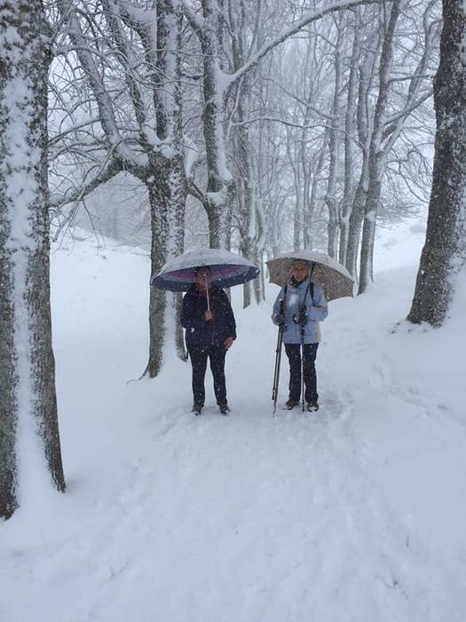 Elurtuta topatu zuen Matxink 19 1521550083575