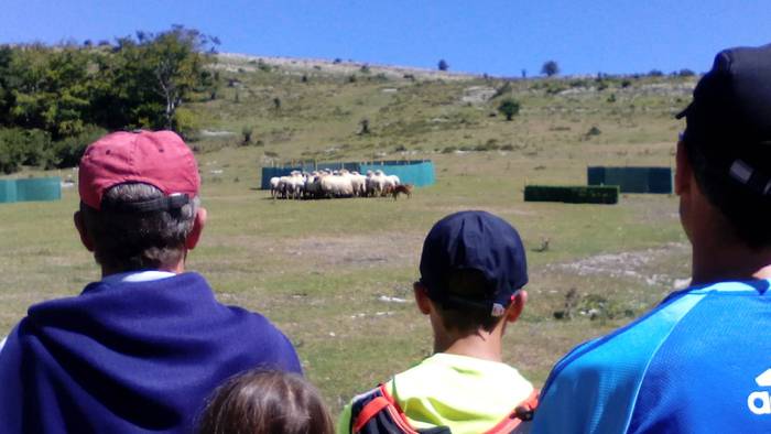 Artzainak izan ziren nagusi  51 1535893462356