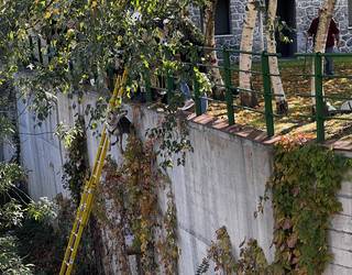 Txakur bat erreskatatu dute suhiltzaileek Aretan, ibaira erori eta gero