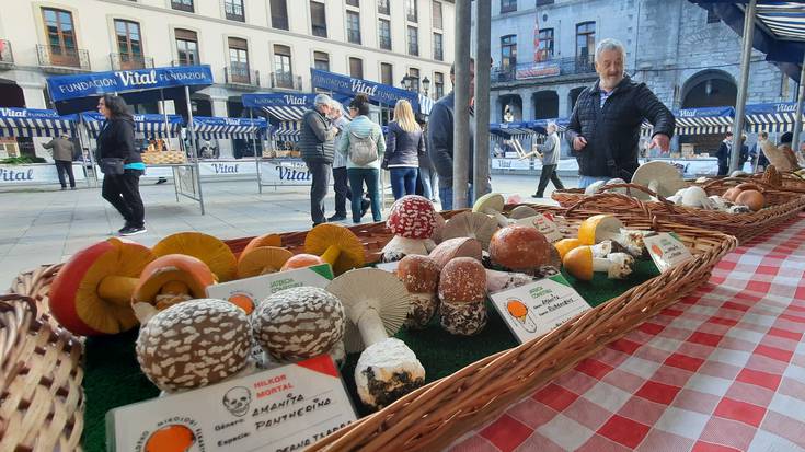 Udazkeneko Mikologia Erakusketaren XL. edizioak bete du Laudioko Herriko Plaza