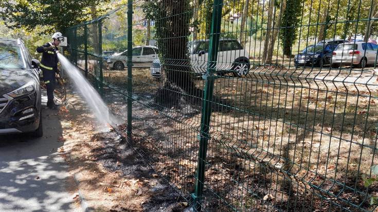 Bi sute txiki piztu dira astebetean Aiaraldeko berdeguneetan