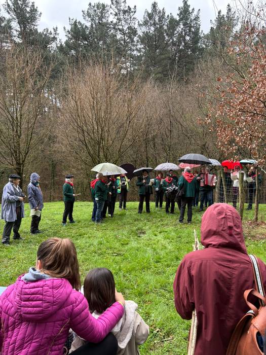 Gernikako zuhaitzaren kimua  22 1770844219355