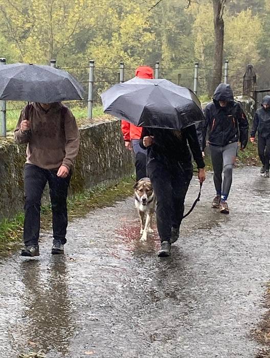 Lezamako mendi ibilaldiak 25 12 1761572468057