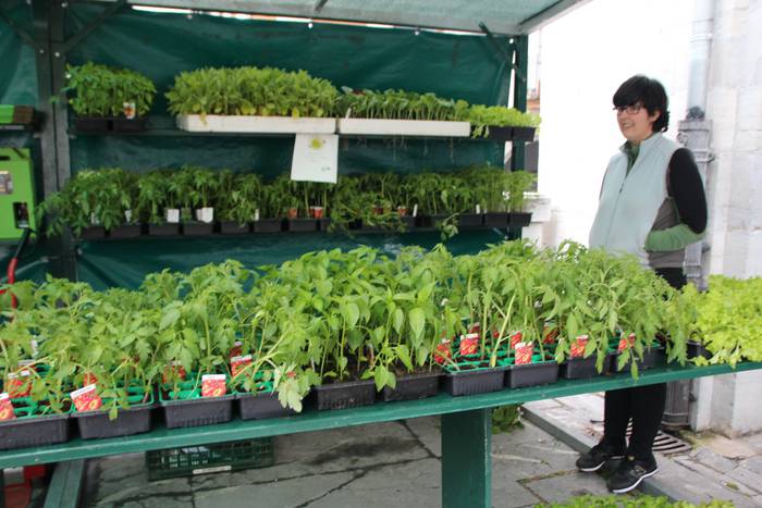 V.Azoka agroekologikoa