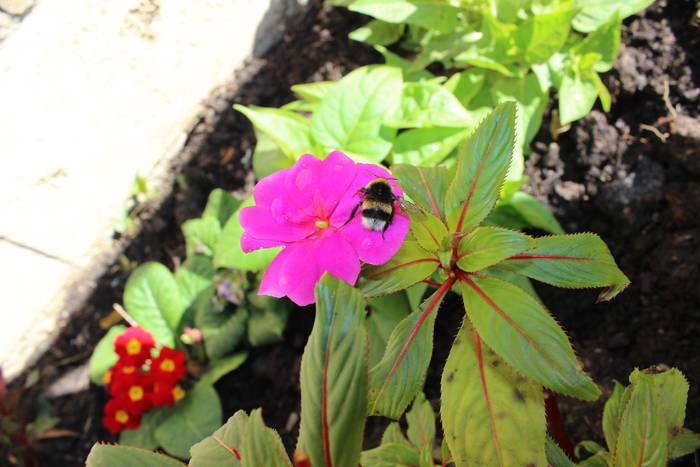 ARGAZKIEKIN JOLASEAN 18 1510133679746