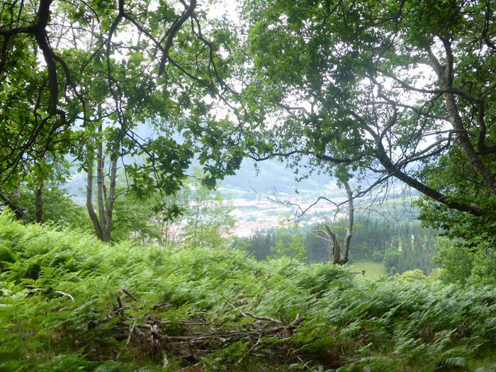 Astelehenerarte luzatu ziren 2 1496393861700