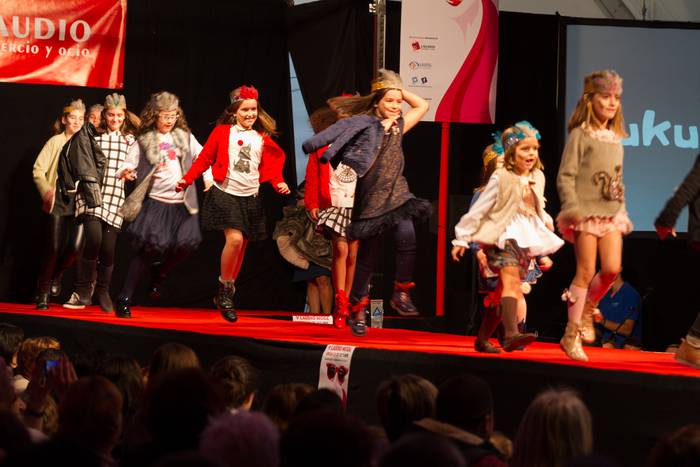 Laudioarrak izan ziren model 132 1508743124446