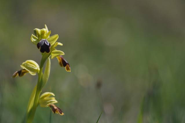 Itzultzeak 20 1619015041960