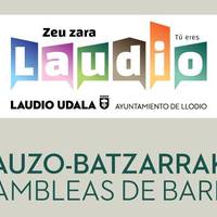 Auzo batzarrak: Arraño