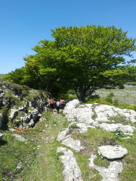 Tologorriko ibilaldiko argaz 23 1526918188411