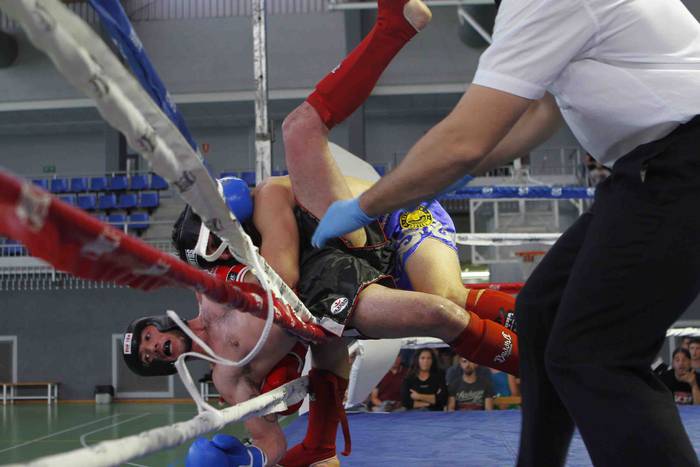 Euskal Herria-Palestina borr 44 1527491222825