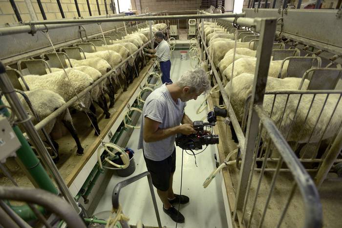 Abeltzaintzari buruzko dokum 10 1500543642587