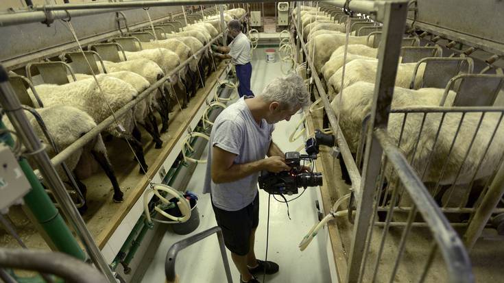 Abeltzaintza sektorearen bilera