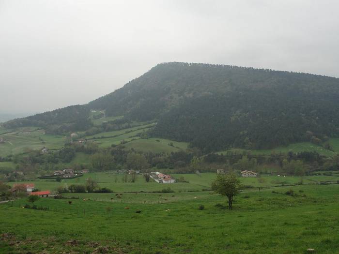 Babioko Landeredia berreskuratzeko ekimena auzolana