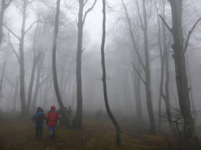 Laino artetik Santa Elena me 19 1511892582110