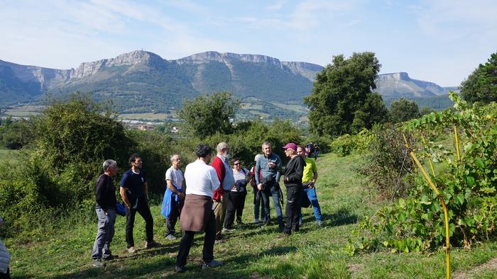 Txakolina Urduñan 23 1759234667978