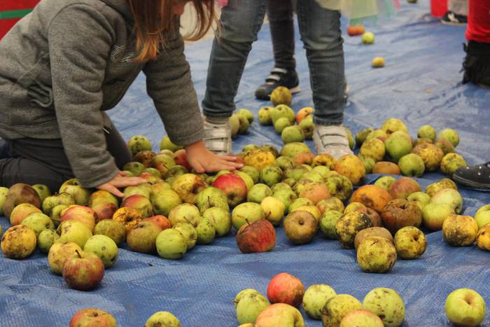 Laudioko Sagar Eguna 8 1509299525006