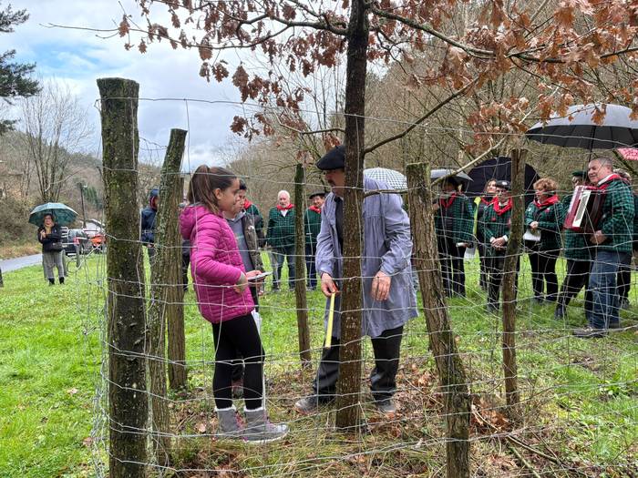 Gernikako zuhaitzaren kimua  11 1770844174696