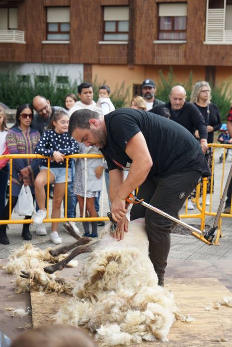 Yolanda Elosegui, Maria Ange 9 1758471067357