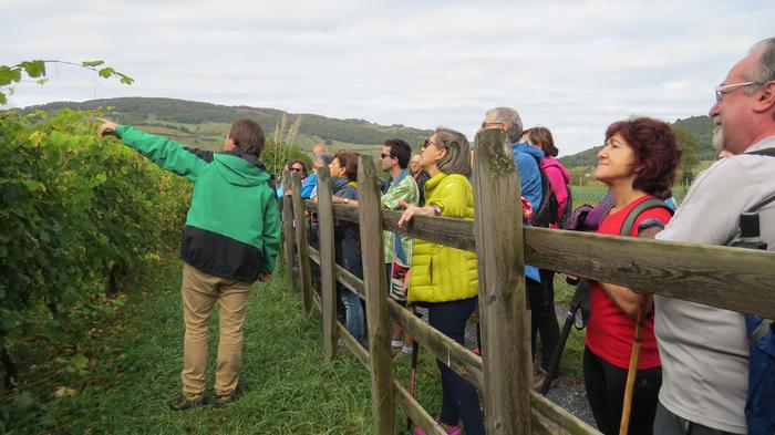 Herriko egitura geologikoa e 53 1508828186947