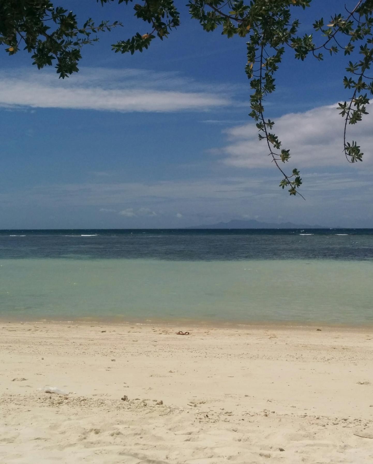 Koh Thao. Thailandia. Izugarria