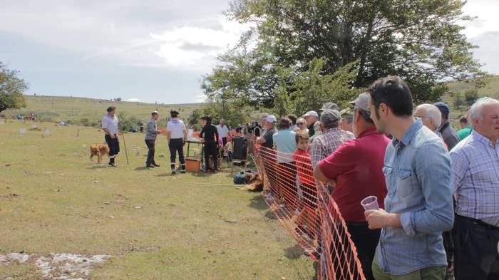 Sanbitoresak ospatzeko ehunk 174 1504514330440