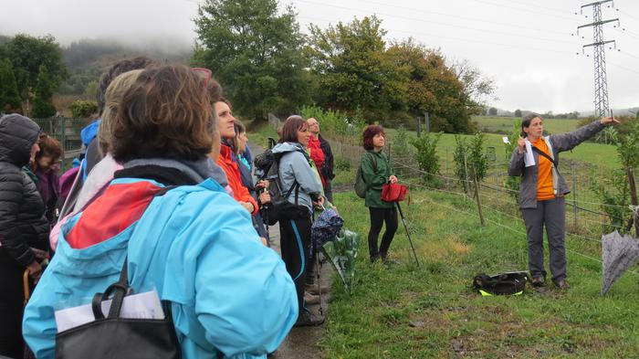 Herriko egitura geologikoa e 31 1508827432664