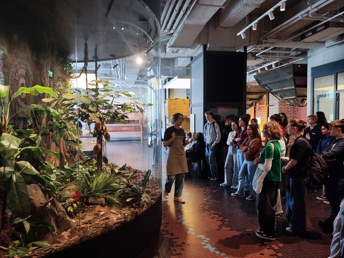 Txokolatearen historia ezagu 22 1776890918033