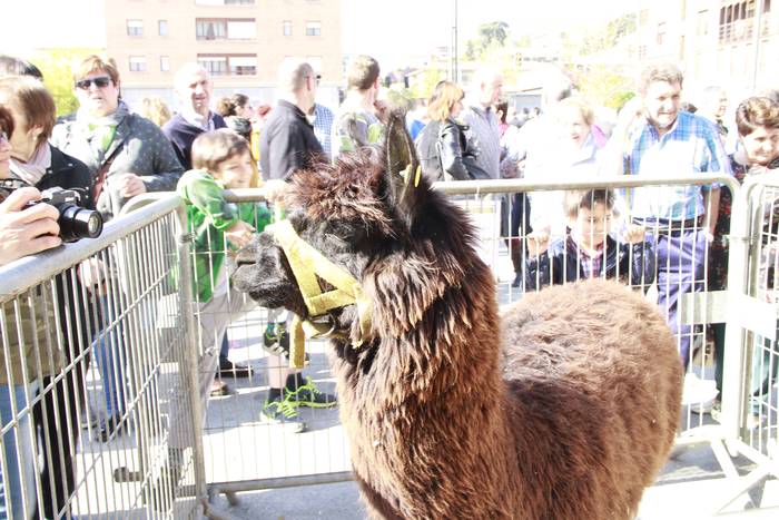 Dolumin Barikuak eta Korrika 10 1491597021745