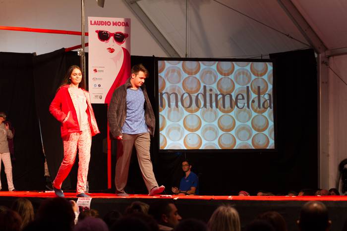 Laudioarrak izan ziren model 181 1508743794191