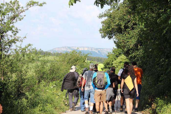 San Pedron gertatutako sarra 1 1495993950896