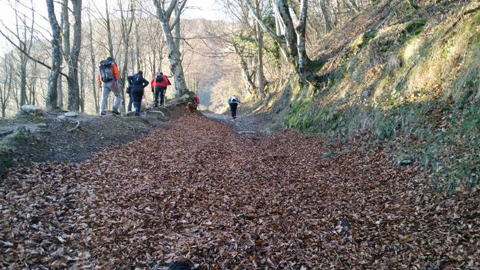 Txarlazotik Tologorrira joat 12 1485969321949