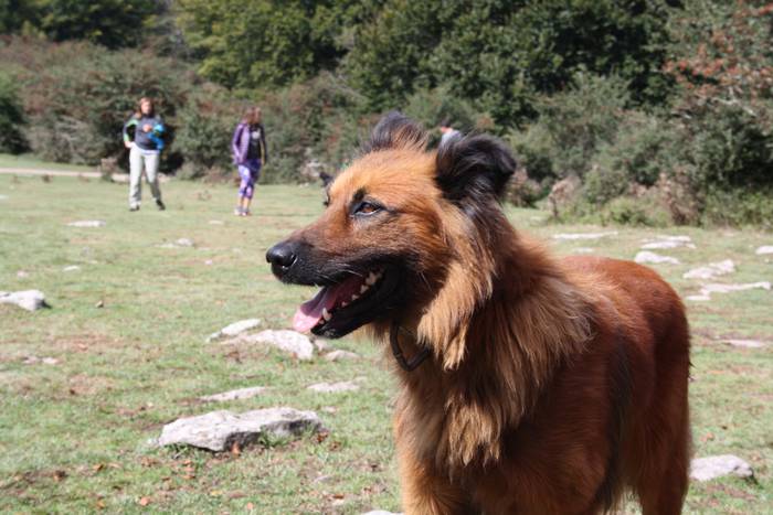 Sanbitoresak ospatzeko ehunk 31 1504509405339