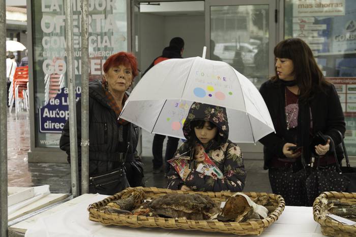 Gastronomia eta mikologia uz 58 1509955372874