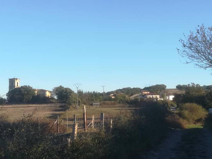 Artziniegako lakua, altxor e 6 1599730230890