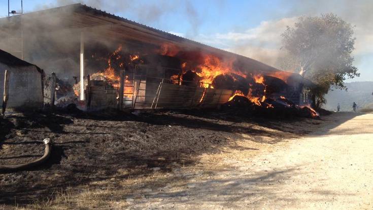 Belandiako pabiloi batean piztutako sutea herritar eta suhiltzaileek kontrolatu zuten
