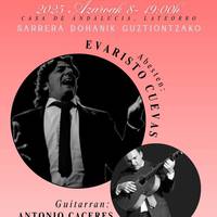 Laudioko XVI. Flamenko Jaialdia