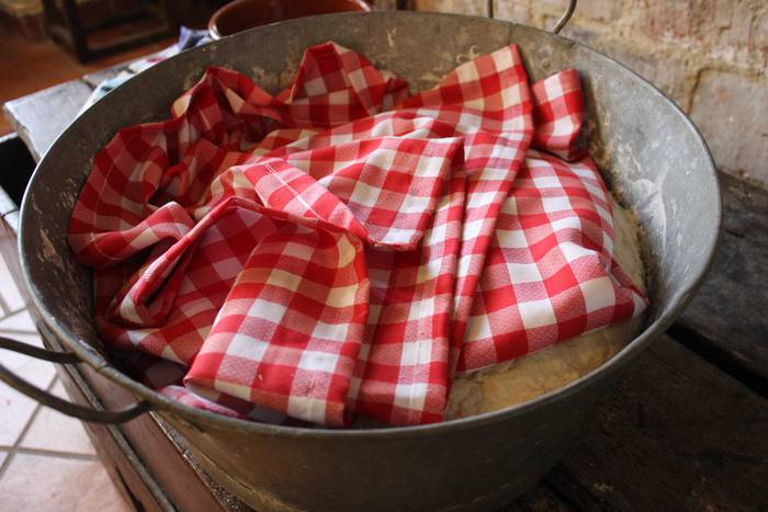 Helduen tailerrerako osagaiak, prest