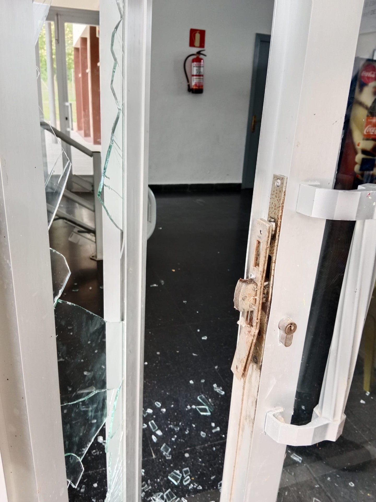 Artziniegako Udal Igerilekuetan lapurtu dute