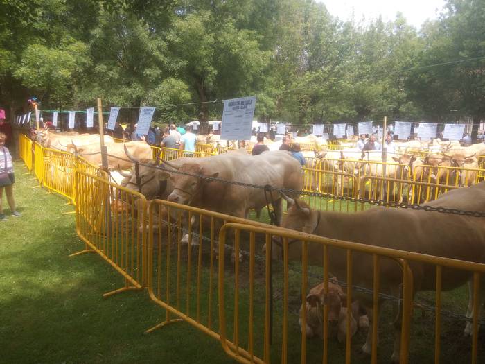 San Isidro Azokak jende ugar 38 1494852395365