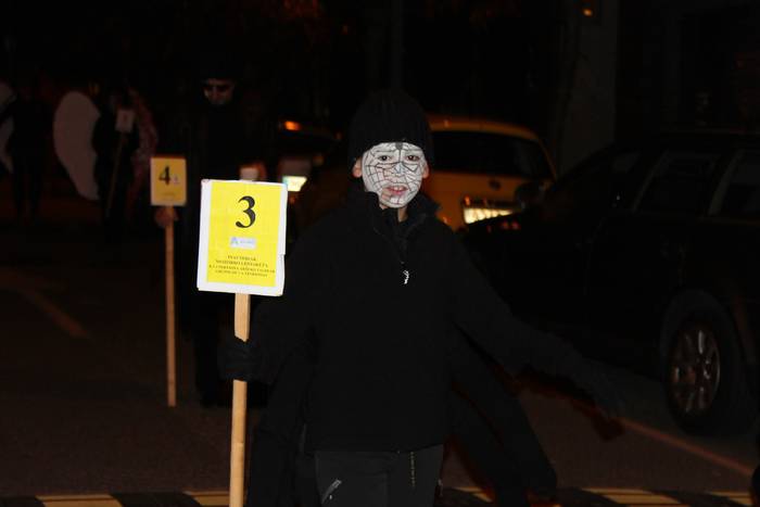 Mozorro koloretsuek ziprizti 2 1488200312323