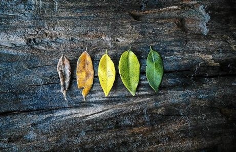 [IRITZIA] Bere ohean hil zen behintzat